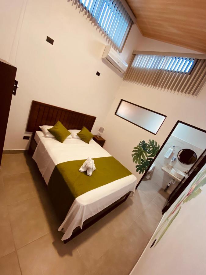 Casa Macaw Apartment La Fortuna Exterior photo